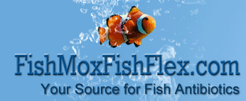  FishMoxFishFlex Promo Codes