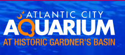  The Atlantic City Aquarium Promo Codes