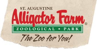  Alligator Farm Promo Codes