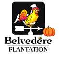  Belvedere Plantation Promo Codes