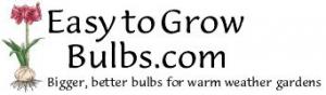  Easy To Grow Bulbs Promo Codes