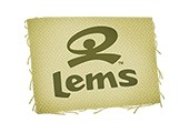 lemsshoes.com