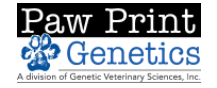  Paw Print Genetics Promo Codes