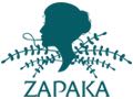  ZAPAKA Promo Codes